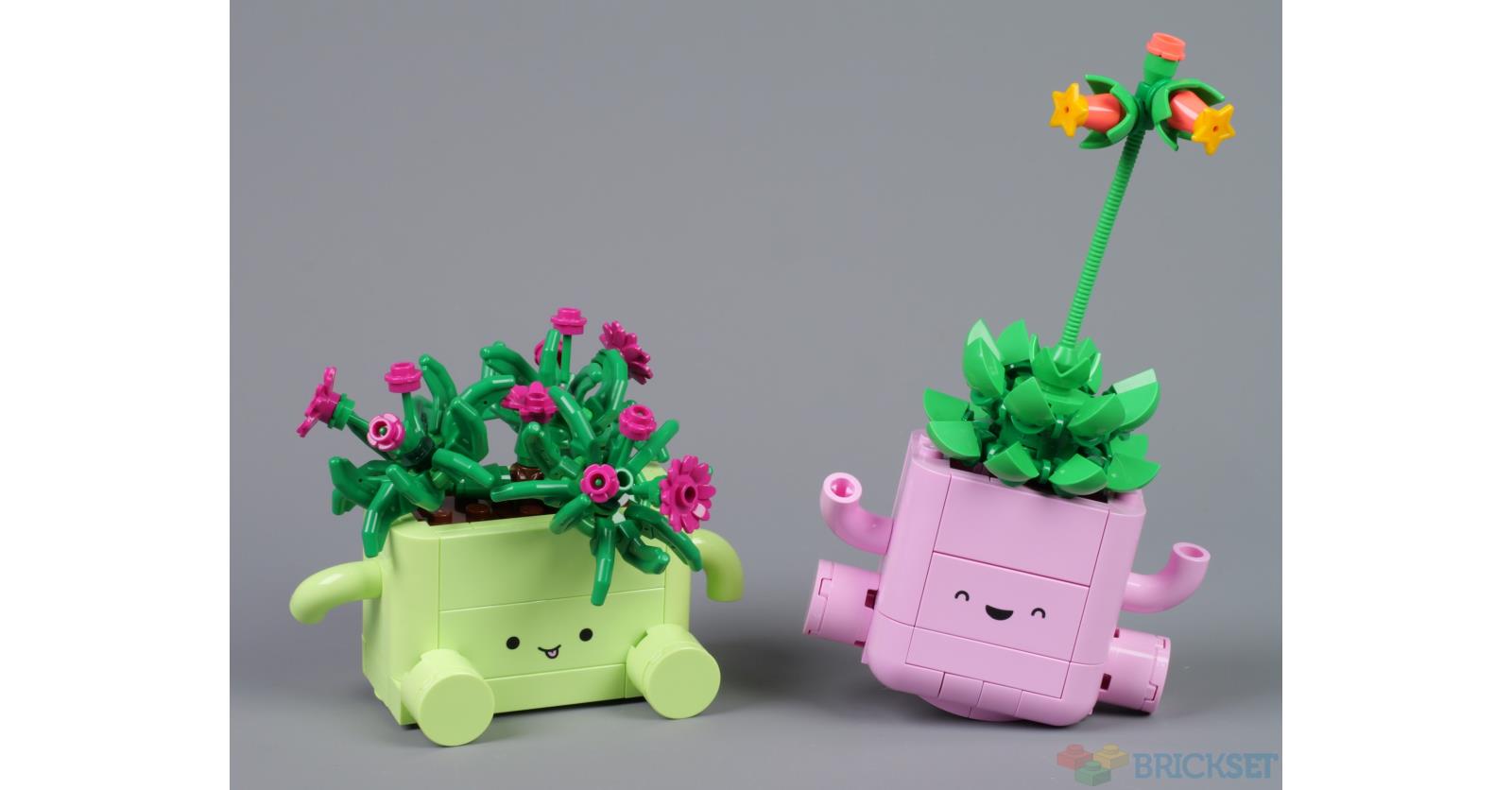 LEGO Botanicals 11506 Rocking Plants review LEGO Botanicals 11506 Rocking Plants review